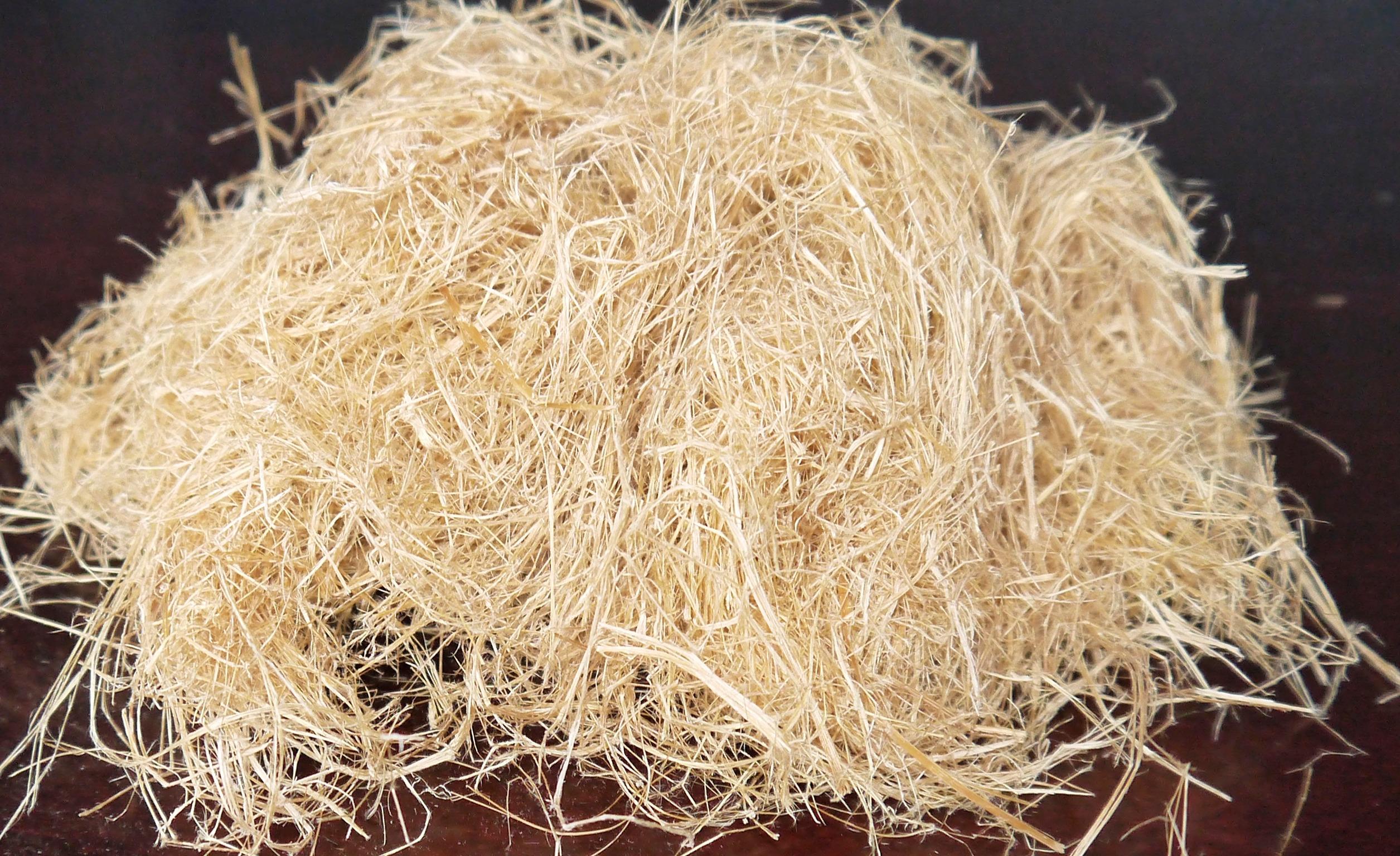 开运体育控股有限公司太极实业换帅秦晨飞接棒开启新篇章
