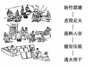 竹子做纸的全部过程