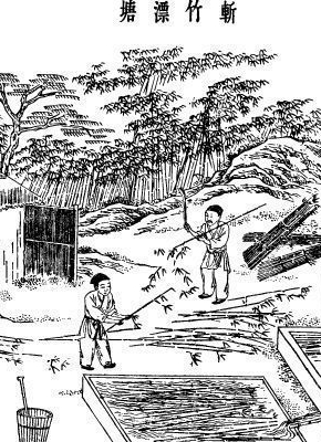 古代造纸术的过程图解(图1)